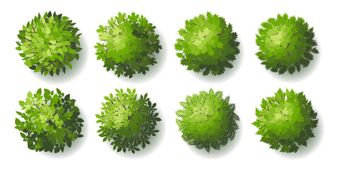 Trees top view. Different plants and trees vector set for architectural or landscape design. (View from above) Nature green spaces.