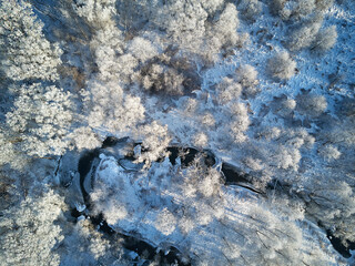 Wall Mural - Winter woodland in frost top aerial view. Trees on riverbank. Small creek in forest. Rural dirt road. Snow covered field landscape.