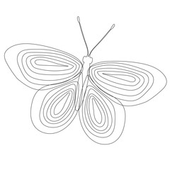 Wall Mural - butterfly outline on white background, isolated, vector