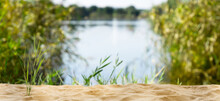 Beautiful Wild Nature Idyll Lakeside In Summertime With Reed Grasses, Empty Bathing Sand Beach In Foreground, Blurred Water And Blue Sky Background With Copy Space