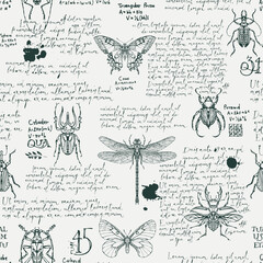 Monochrome seamless pattern with handwritten text Lorem Ipsum and hand-drawn insects. Vector background with butterflies, beetles, dragonfly on an old paper backdrop. Wallpaper, wrapping paper, fabric