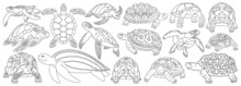 Sea Turtle Vector Outline Set Icon. Vector Illustration Tortoise On White Background. Isolate Outline Set Icon Sea Turtle.