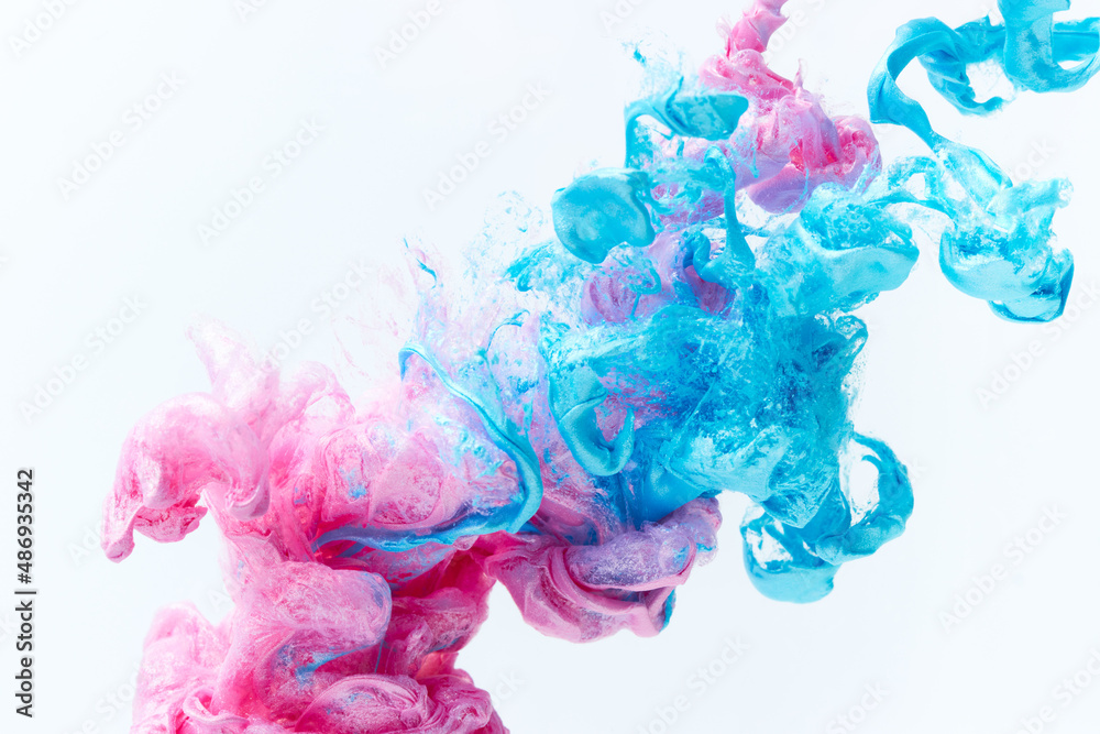 Pink and blue paints splash curves in water on white. Acrylic paint ...