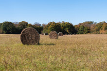Round Hay Bales Looking Like Giant Wheels In A Meadow