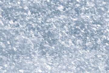 Poster - Snow from snowflakes, macro photo of white snow in winter, snow texture.