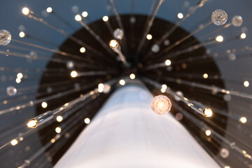 Aufkleber - Close-up of many light flexible sticks with light bulbs for interior decoration. Festive decoration. Light bulbs bouquet arrangement. Blurred background. Art design.