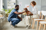 Fototapeta  - Happy young veterinarian cuddling cute brown dachshund patient sitting on knees of its owner before veterinary check-up