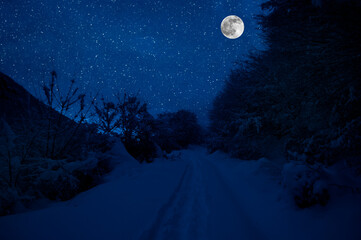 Wall Mural - mountain road through the snowy forest on a full moon night. scenic night winter landscape of dark b