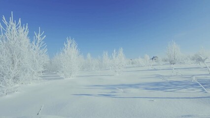 Aufkleber - Winter panorama with snowdrifts. 4k video background
