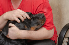 An Adult Male Cradles A Large Black Dog To His Chest.