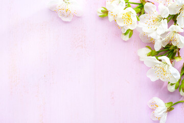 Wall Mural - Cherry flowers on the pink shabby wooden board. Floral border.  Flat lay. Selective focus.