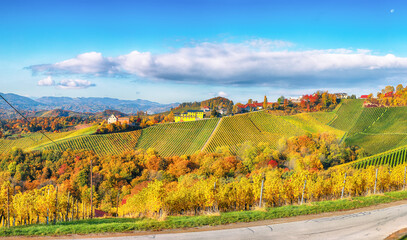  Breathtaking vineyards landscape in South Styria near Gamlitz.