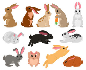 Wall Mural - Cartoon cute rabbits, spring bunny brown and white characters. Bunny sitting, sleeping and jumping vector illustration set. Traditional easter animals