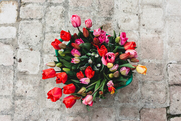 Wall Mural - Green Bucket of Tulips on a Bench