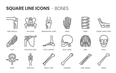 bones related, pixel perfect, editable stroke, up scalable square line vector icon set.