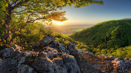 Poster - Mountain forest panorama at sunset - Slovakia