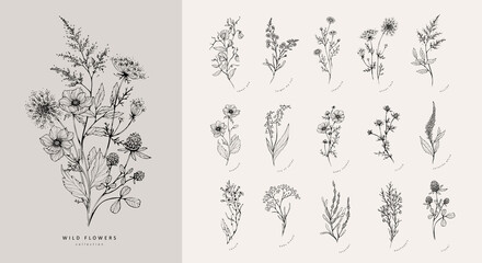 Wall Mural - trendy floral branch and minimalist flowers for logo or decorations. hand drawn line wedding herb, e