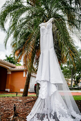 Wall Mural - White wedding dress hanging on a hanger on a palm tree Wedding in the tropics Wedding gown dress hanging on palm tree before the outdoor wedding ceremony   