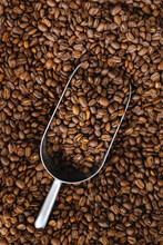 Freshly Roasted Aromatic Coffee Bean View From The Top. Coffee Bean On A Flat Lay Metal Spoon. Stylish Poster For Coffee Shop And Bakery. A Coffee Pattern For Your Design