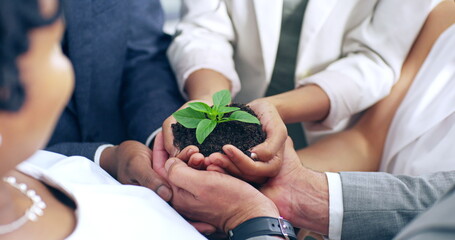 Aufkleber - Growth is in the hands of the team. 4k video footage of a team of colleagues holding a plant growing out of soil.