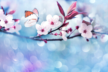 Wall Mural - Flowering branches on a color blurry background and butterfly.