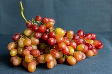 Fresh Grapes, Blue Grapes, Vine, Stone Fruit, Fruits And Vegetables, Red Grapes, Ripe, Blue Background, Healthy Food, Snack, Vitamin-rich, Seasonal Fruit, Fruits, Italy, Summer Fruits, Sweet, Food