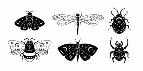 vector set of geometric celestial magical insects in bohemian style. mystical collection of luna mot