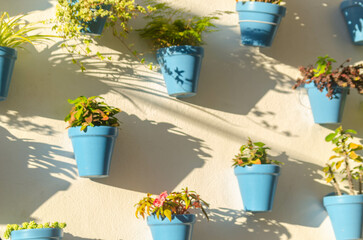 Wall Mural - Blue ceramic flowerpots with flowers hanging on the wall, decorating the urban space