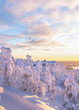 Winter, landscape, sunrise over snowy forest and mountain in Lapland. Ski resort Finland Uusima Mount Ruka.