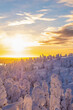 Winter, landscape, sunrise over snowy forest and mountain in Lapland. Ski resort Finland Uusima Mount Ruka.