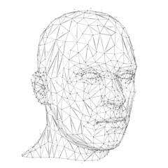 Half-Turn of Futuristic Mesh Polygonal Head Over White Background
