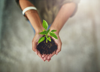 Poster - Handle your business with care and caution. High angle shot of a young businesswoman holding a plant growing in soil.