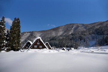 Poster - 雪景色の白川郷