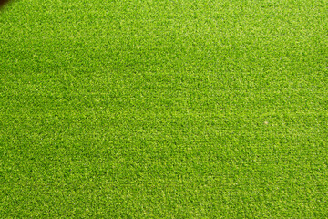 green grass texture