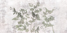 Sweet Peas. Graphic Grey Wildflowers Painted On The Grey Grunge Wall. Floral Background In Loft, Modern Style. Design For Wall Mural, Card, Postcard, Wallpaper, Photo Wallpaper.