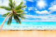 Tropical island sea beach landscape, green coconut palm tree leaves, turquoise ocean water waves, blue sky sun white clouds, yellow sand, summer holidays, vacation, travel, beautiful paradise nature