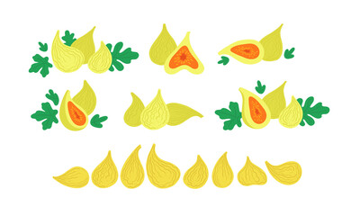 Wall Mural - Green figs with leaves. Fresh and dried figs. Vector flat illustrations set isolated on white.