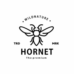 Wall Mural - vintage retro hipster hornet logo vector outline monoline art icon