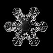 © kichigin19 - snowflake isolated on black background natural photo crystal winter design