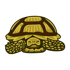 Hand drawn turtle cartoon character illustration Animal.