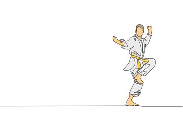 One single line drawing of young sporty karateka man in fight uniform with belt exercising martial art at gym vector illustration. Healthy sport lifestyle concept. Modern continuous line draw design