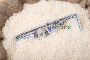 Canvas Print - One hundred dollar banknote in rice. Business of growing rice, agribusiness