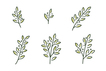 Wall Mural - Laurel. Different types of branch. Simple contour vector illustration for packaging, corporate identity, labels, postcards, invitations.