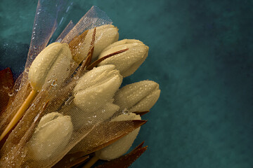 Wall Mural - Flowers yellow tulips with water drops in a transparent fabric. Flower buds and blurred background. Art image.