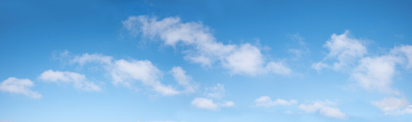 Wall Mural - gradient blue sky panorama with soft cumulus clouds