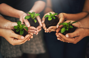 Poster - Together we can make Mother Nature proud. Cropped shot of a group of people holding plants growing out of soil.