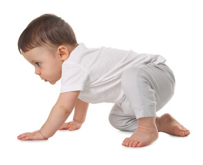 Wall Mural - Cute little baby crawling on white background