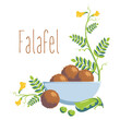 Falafel balls with salad leaves on a plate among chickpea leaves. Painted sketch. Vector illustration