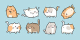 Fototapeta Fototapety na ścianę do pokoju dziecięcego - Cute Kawaii Cats or kittens in funny poses - isolated vector. Funny cartoon fat cats for print or sticker design. Adorable kawaii animals