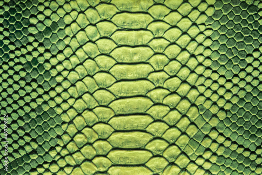 Green Python Skin Beautiful green bright python skin, reptile skin texture, multicolored ...